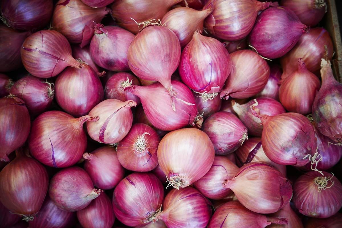 red onions