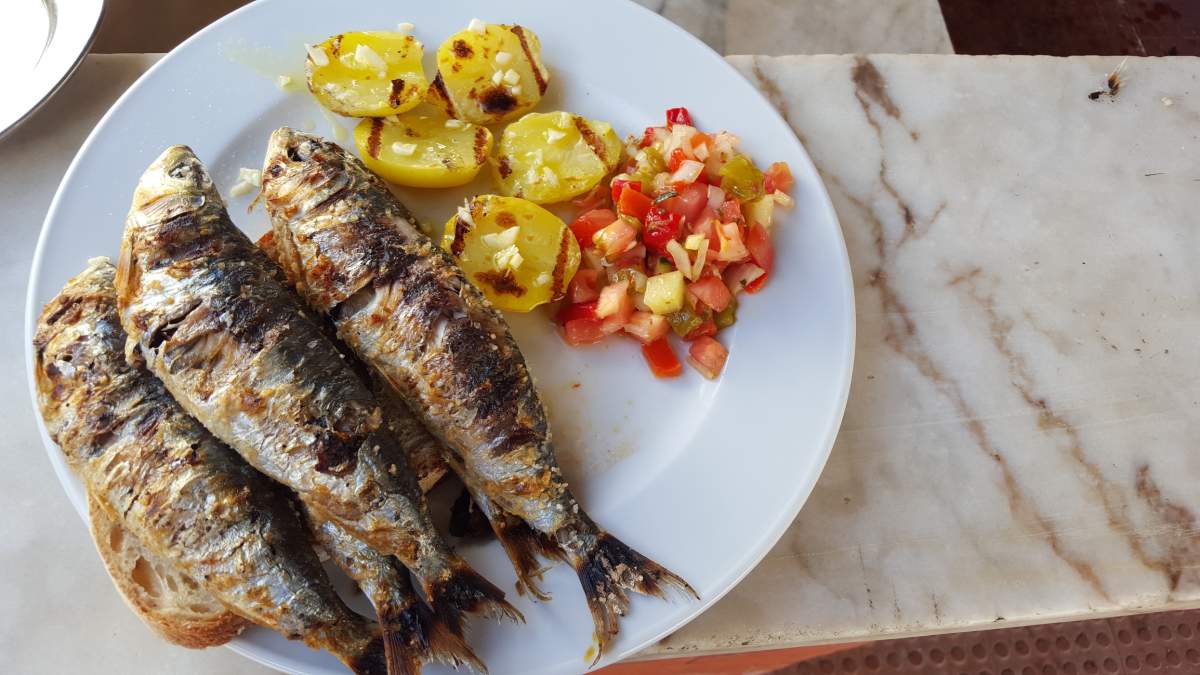 Sardines
