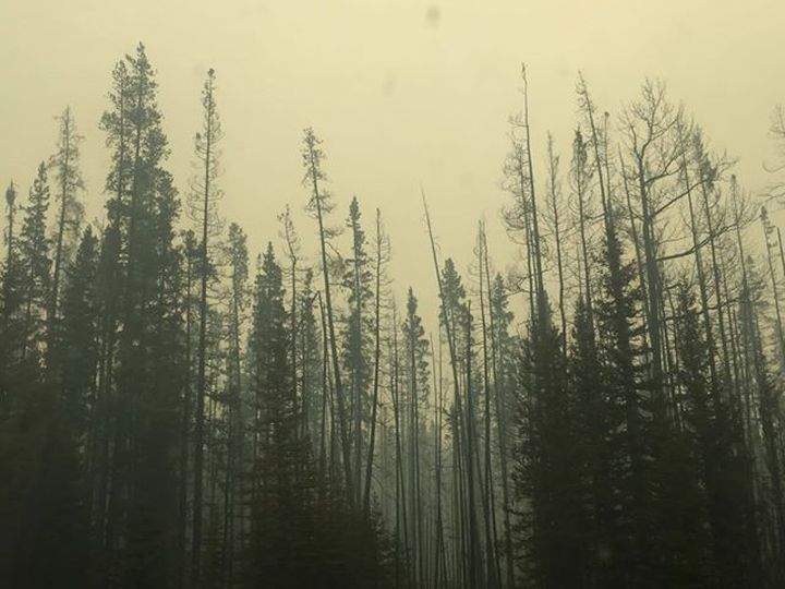 Highway 93 viewer photo