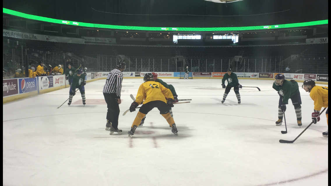 London Knights add two more players as training camp approaches - image