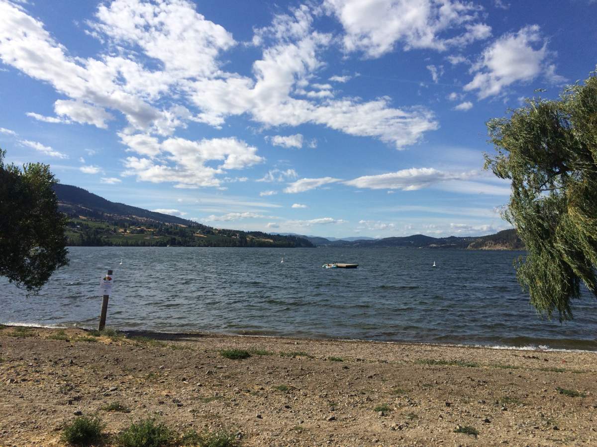 One man drowned in Wood Lake on Saturday.