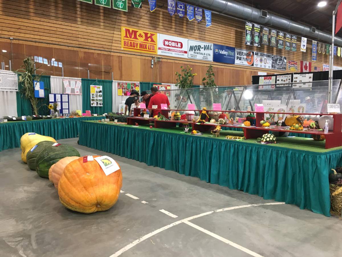 Ralph Livingston’s 309 pound pumpkin won heaviest pumpkin at the IPE this year. Livingston grew it in his backyard in Kelowna. “The thing took up half the garden,” he said.