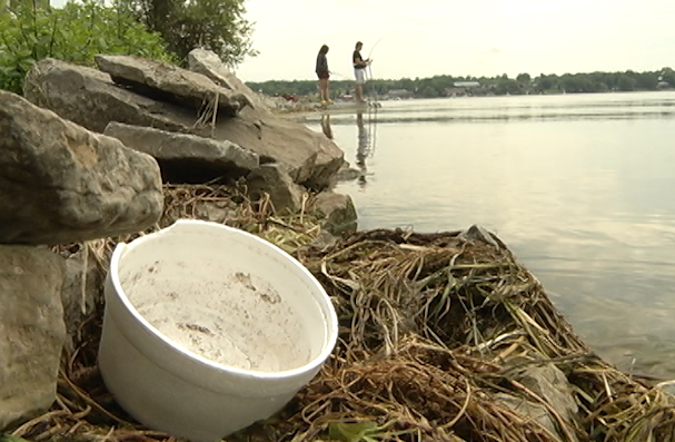 The James A. Gifford Causeway is a fishing hotspot but it's also becoming an eyesore as litter is being left behind. 