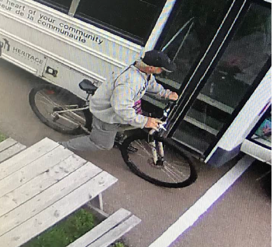 RCMP are asking for the public's assistance in identifying a person of interest in a vandalism investigation.