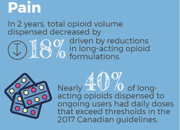 Opioid prescription rates in Ontario stabilize, but many patients exceed daily dose limits: report - image