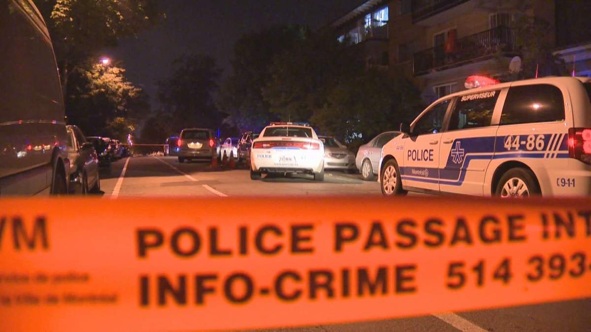 Police are investigating after a 20-year-old man was stabbed in Rosemont overnight. Thursday, Aug. 3, 2017.