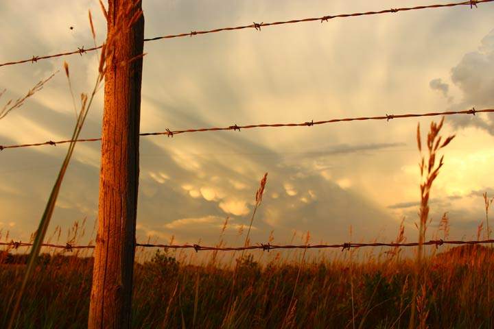 Steph Schneck took this Aug. 2 Your Saskatchewan photo near Asquith.
