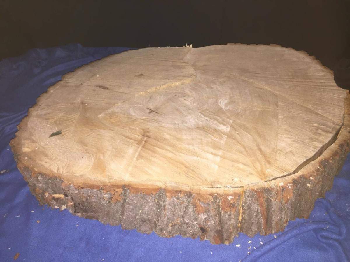A fallen tree from the intense Montreal thunder storm could have a second life as a guitar.