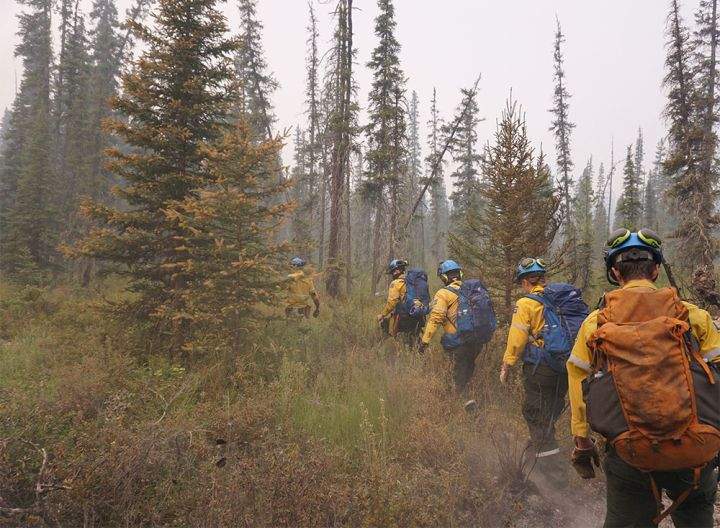 Verdant Creek wildfire