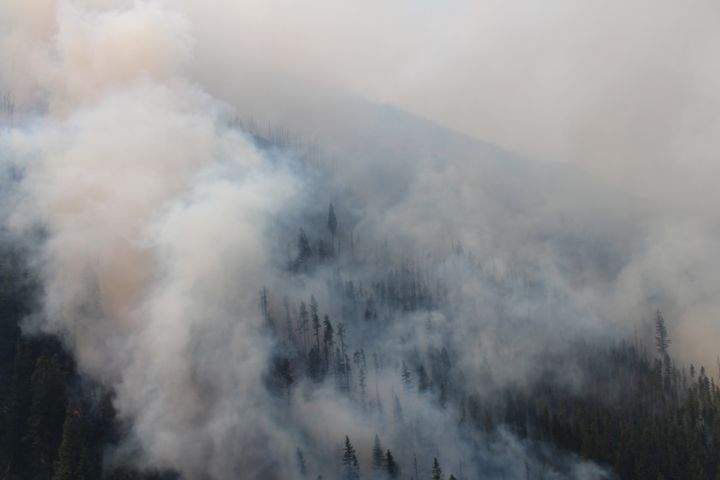 Verdant Creek wildfire
