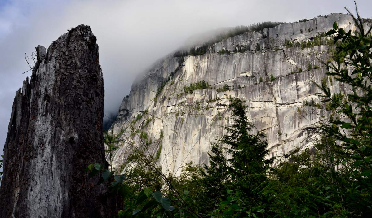 The 700-meter Stawamus Chief stands proudly in the evening sun in Squamish, B.C. on Thursday, July 24, 2014. 