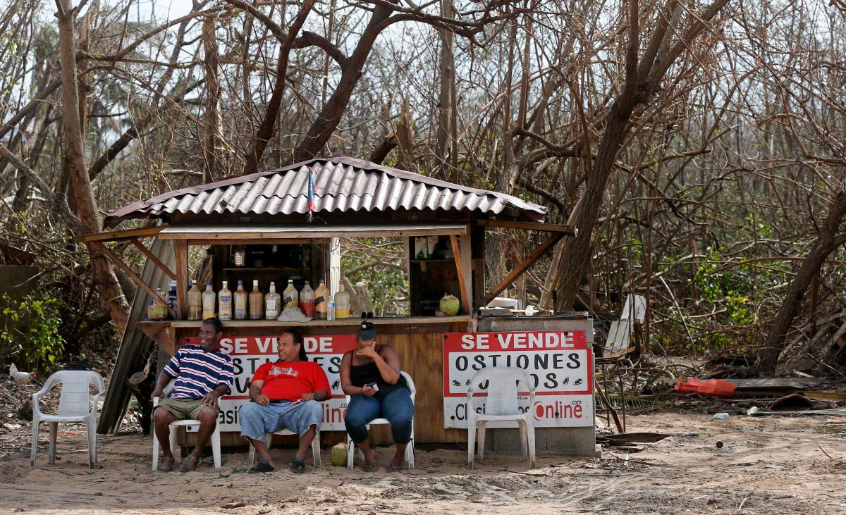 Vendors with no customers sit in front of destroyed trees, in the aftermath of Hurricane Maria in Loiza, Puerto Rico, Sunday, Sept. 24, 2017.