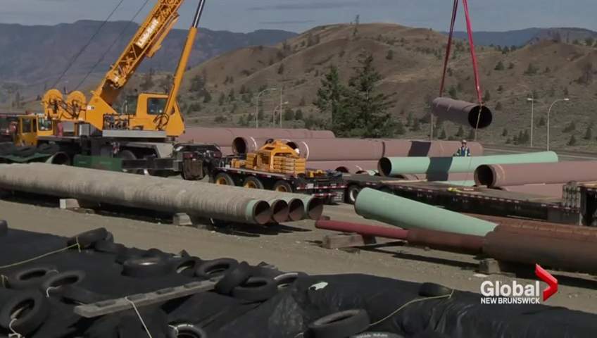 An Alberta minister is blasting the NEB when it comes to the Energy East pipeline.