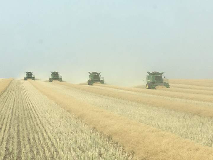 Pablo Benitez took the Your Saskatchewan photo for Sept. 4 near Outlook.
