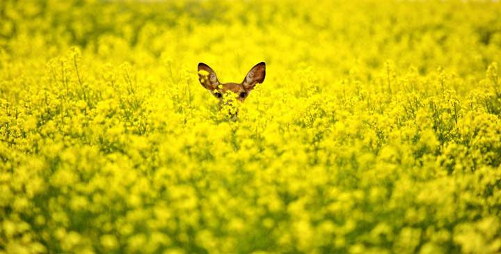 Mark Duffy took this September 12 Your Saskatchewan photo near Stoughton.
