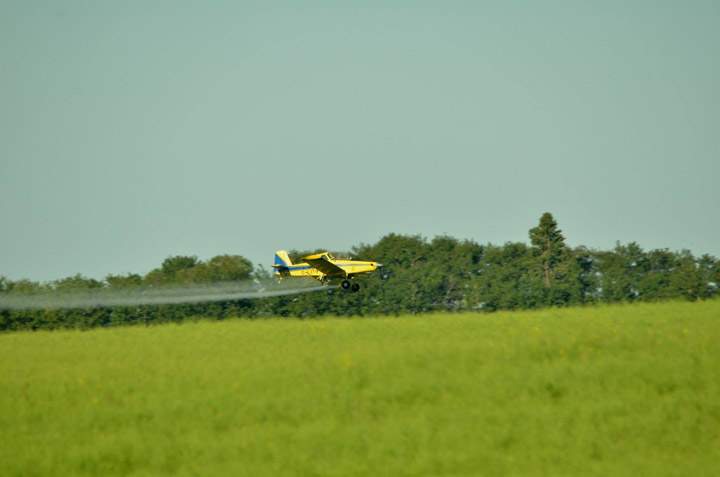 The Your Saskatchewan photo for September 13 was taken at MacDowall by Claudette Mooney.