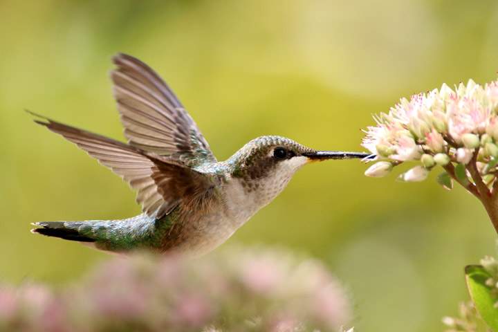 This Your Saskatchewan photo for September 20 was taken in Vanscoy by Margaret Flack.