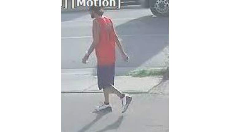 London Police seek to identify man wanted in sexual assault investigation - image