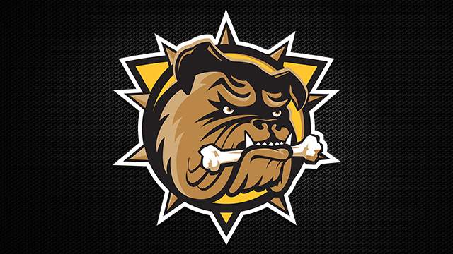 The Hamilton Bulldogs have named Dave Matsos their new head coach.