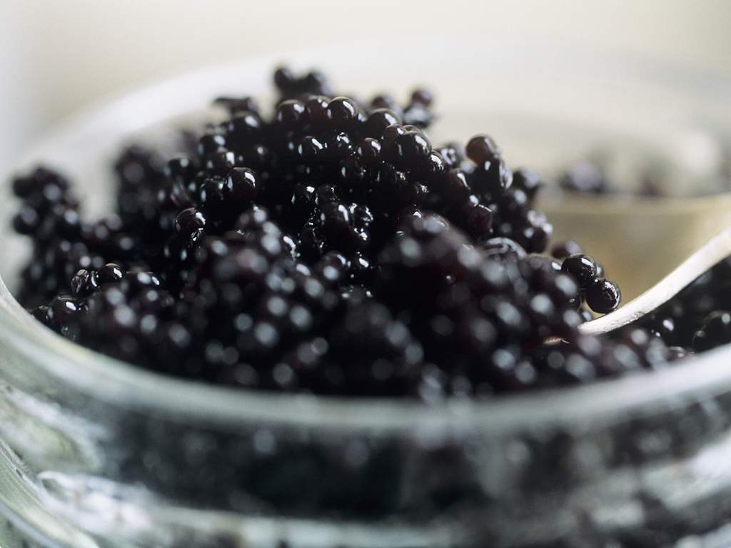 The wild and expensive ingredients used in luxury beauty products - image