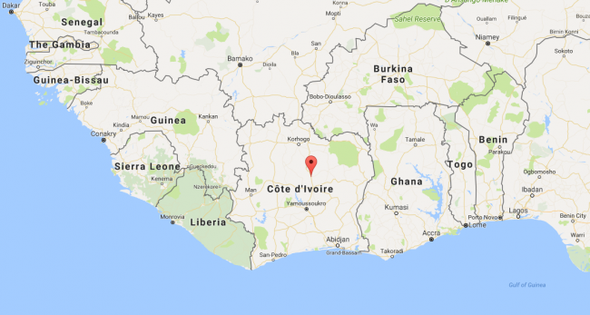 Nearly 100 inmates escape from central Ivory Coast prison - image
