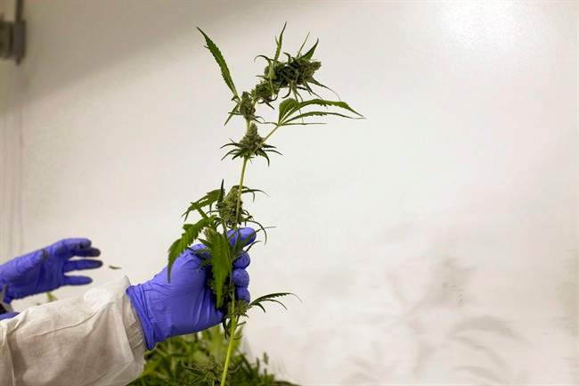 The province of Ontario plans to set up roughly 150 standalone cannabis stores by 2020.