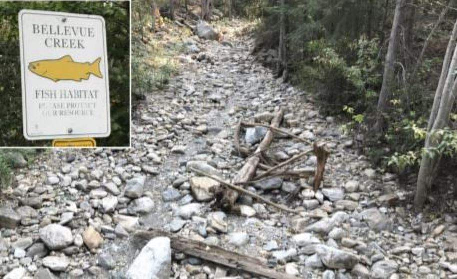 Kelowna's Bellevue Creek during drought conditions in 2017. The B.C. River Forecast Centre says rivers and streams are at risk of low flows this summer with snowpack levels for mid-May verging on historic lows.