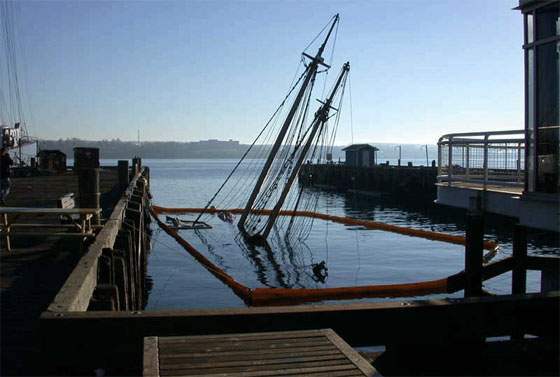 A sailboat tied to a wharf in Halifax sunk after another boat crashed into it during Hurricane Juan.