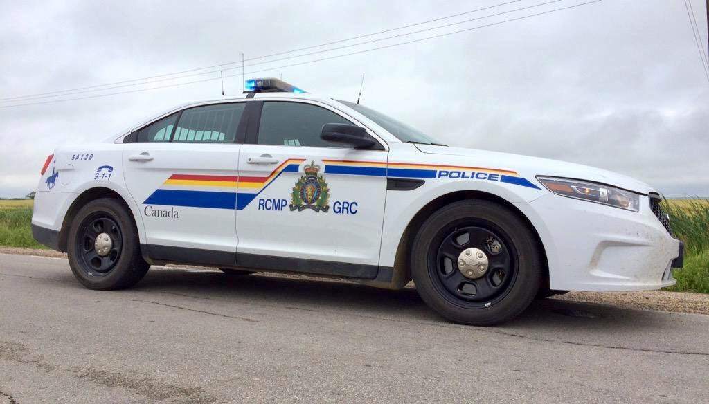 Nova Scotia RCMP have laid charges against a 29-year-old man from Hammonds Plains, N.S.