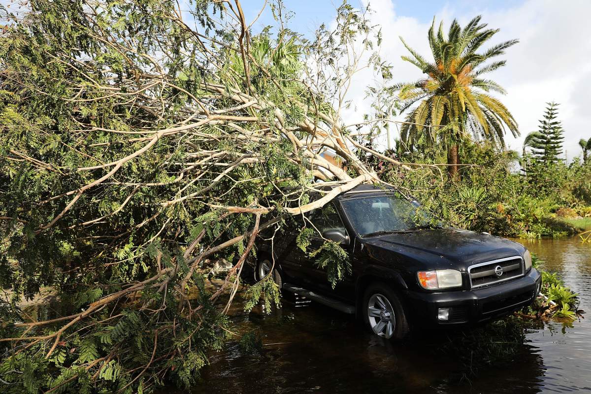 A car covered by a downed tree sits along a flooded road the morning after Hurricane Irma swept through the area on September 11, 2017 in Naples, Florida.