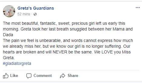 3-year-old Calgary cancer patient Greta Marofke has passed away - image