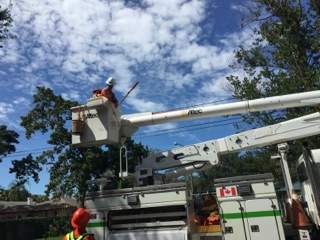Linemen with TALTREES Power work in St. Petersburg Florida