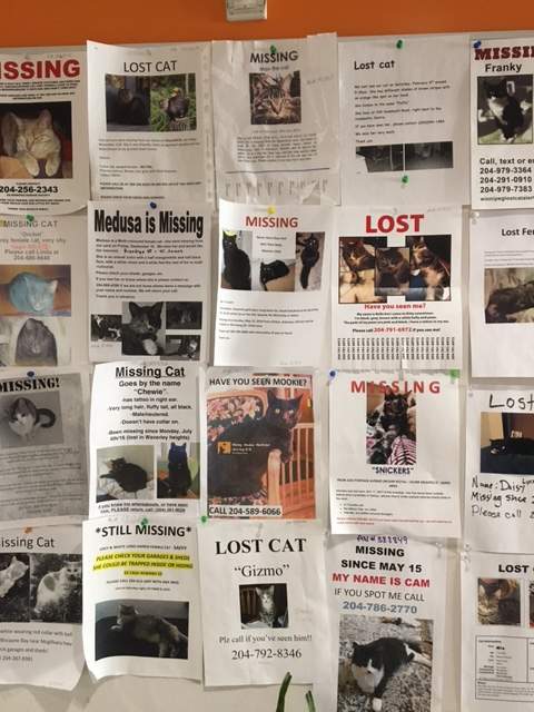 The lost animal board at the Winnipeg Humane Society.