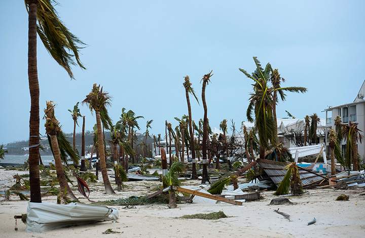 A photo taken on September 6, 2017 shows broken palm trees on the beach on the French side of Saint Martin, after the passage of Hurricane Irma.