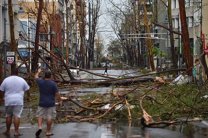 Damaged trees pictured after the passage of Hurricane Maria, in San Juan, Puerto Rico, on September 20, 2017.
