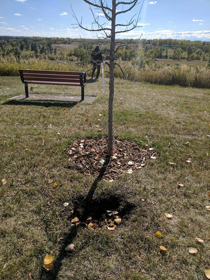 Missing memorial plaque