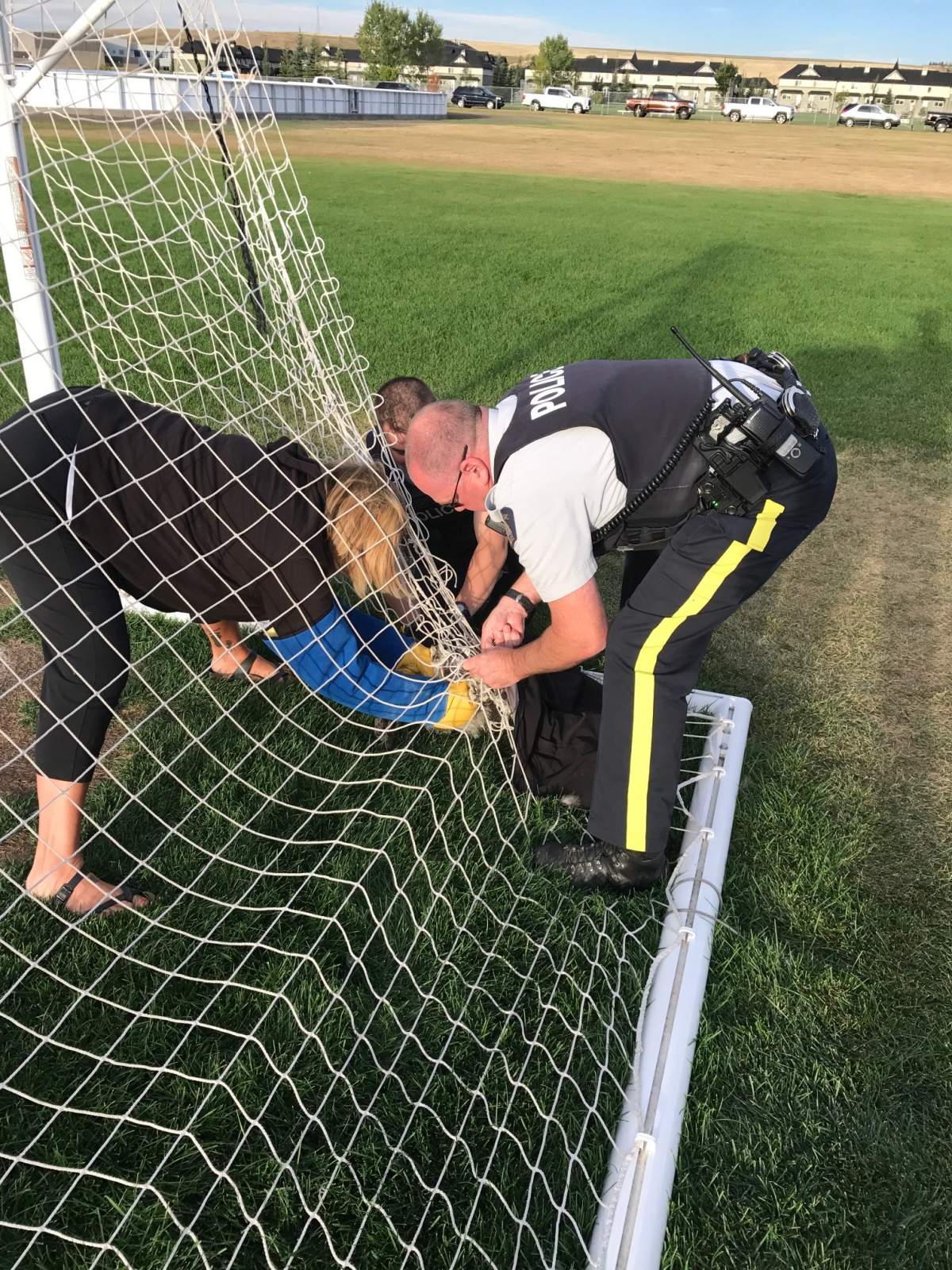 Airdrie RCMP help rescue an owl from a soccer net at Ralph McCall School on Sept. 11, 2017. 