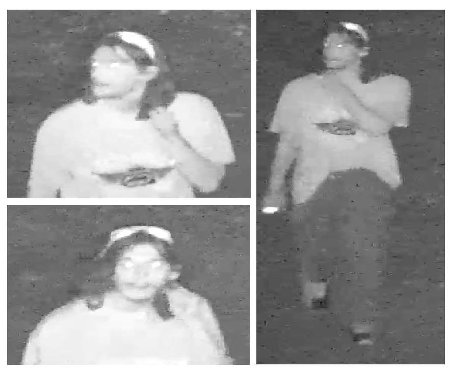 Police are looking to identify the man in this photograph following a break-in at a Cavan Monaghan home.  