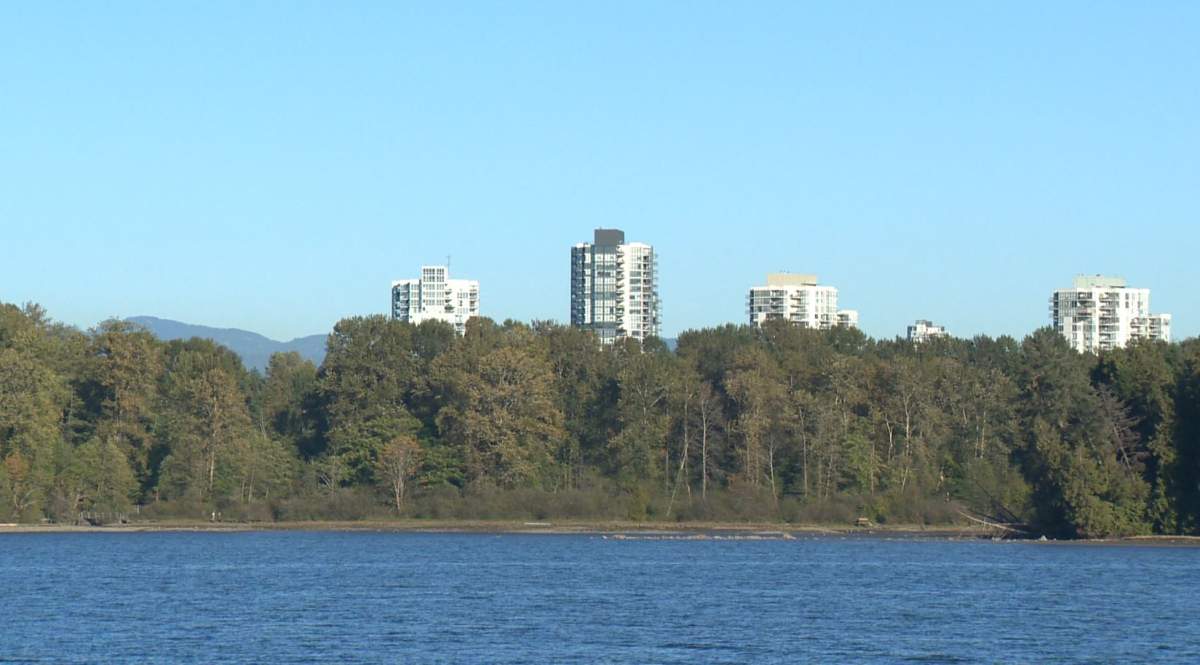 Neighbourhood Series: Small business is booming in Port Moody - image