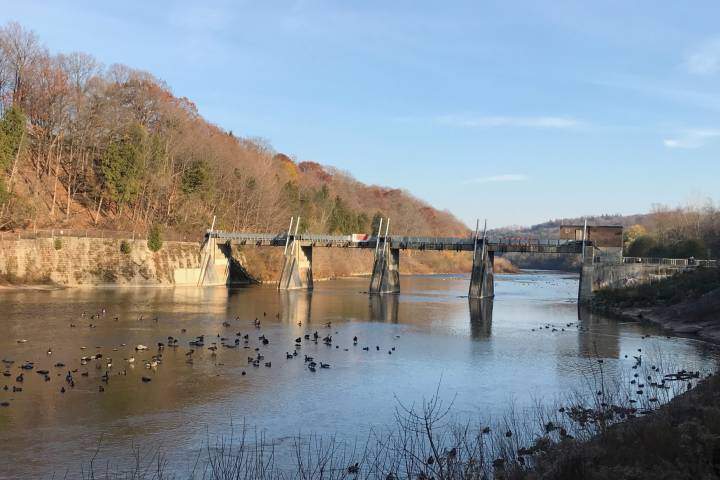 The civic works committee unanimously endorsed a report from staff laying out the options for Springbank Dam  .
