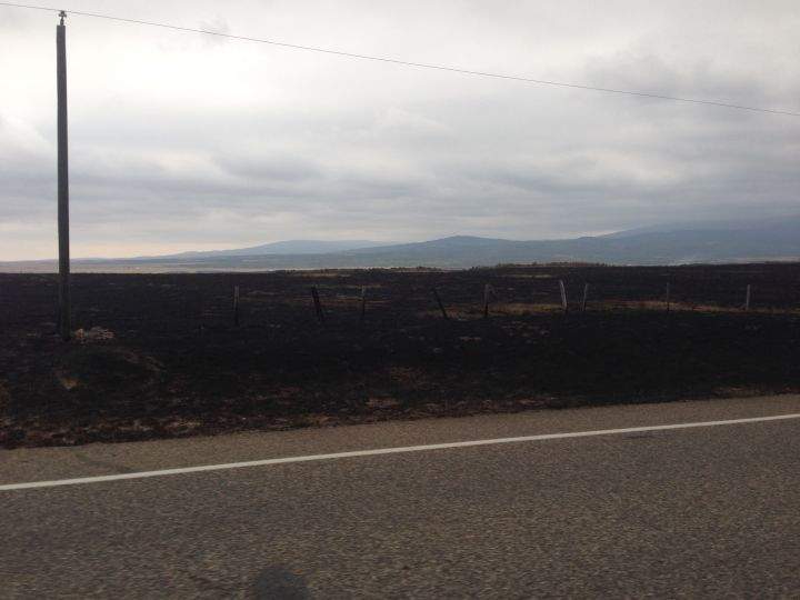 Waterton burnt
