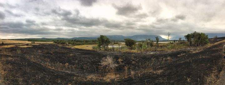 A panoramic shot from a lookout about 6 km from the Waterton village turnoff, showing a first look at Waterton since the wildfire burned through. Sept. 13, 2017.