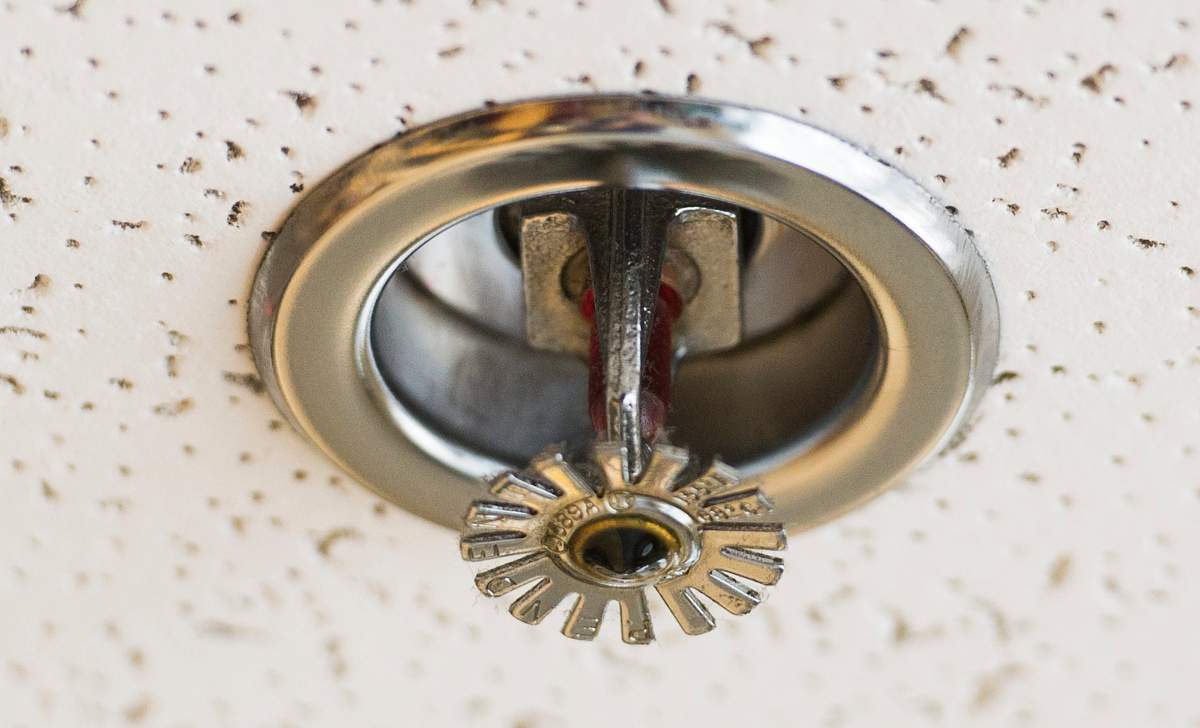 A 28-year-old Sarnia man faces charges, after a damaged sprinkler flooded a local courthouse.