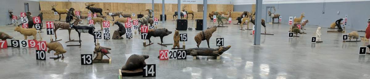 Dozens of 3D animal targets stolen from St. Paul Archery Club.