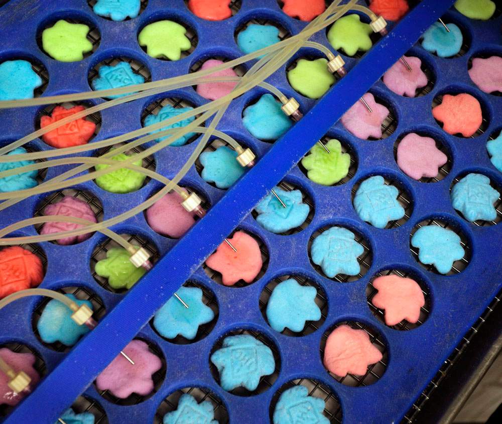 Drops of marijuana extract are placed on candy in the kitchen of AmeriCanna Edibles in Boulder, Colo.