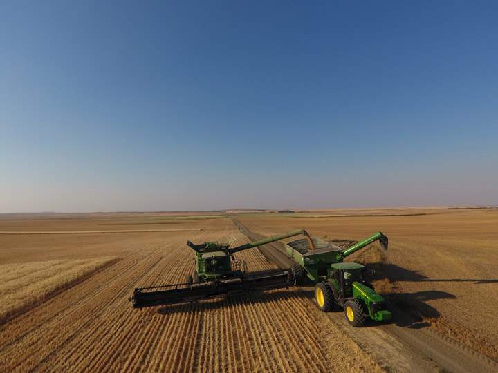 The Your Saskatchewan photo for October 11 was taken near Beechy by Natalie Braun.