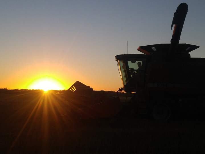 Annette Brecht took the Your Saskatchewan photo for Oct. 19 in Hague.
