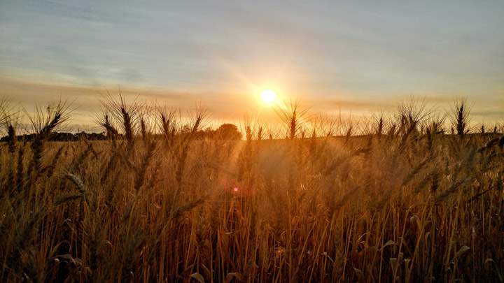 Annette Wylie took this Your Saskatchewan photo for Oct. 24 in Wakaw.
