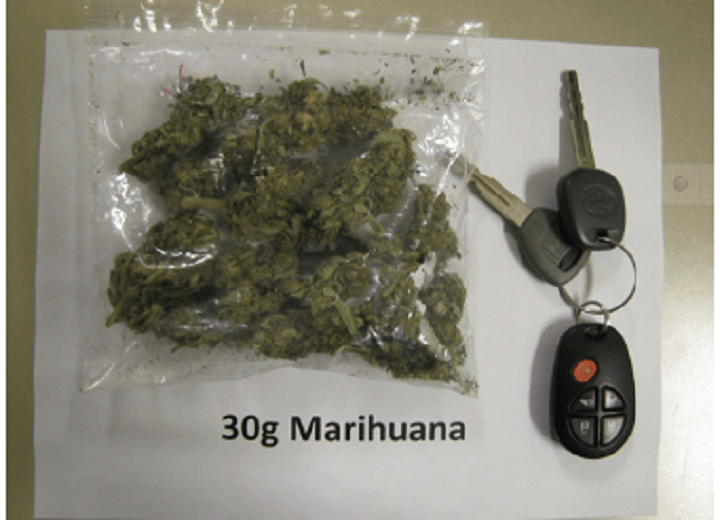 An example of what 30 grams of cannabis looks like.