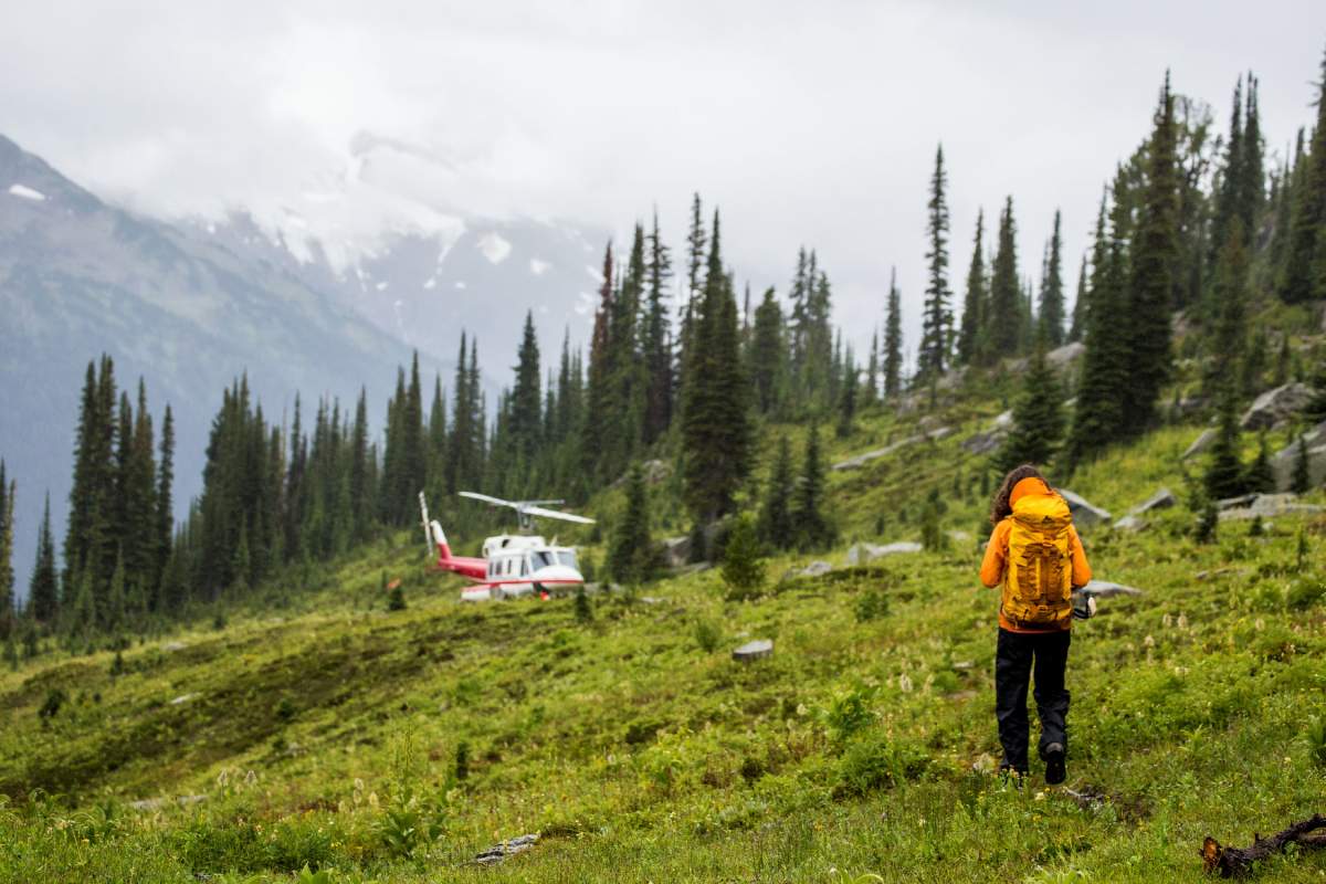 Heli hiking near Golden, B.C.